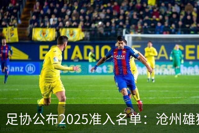 足协公布2025准入名单：沧州雄狮、广州队无缘